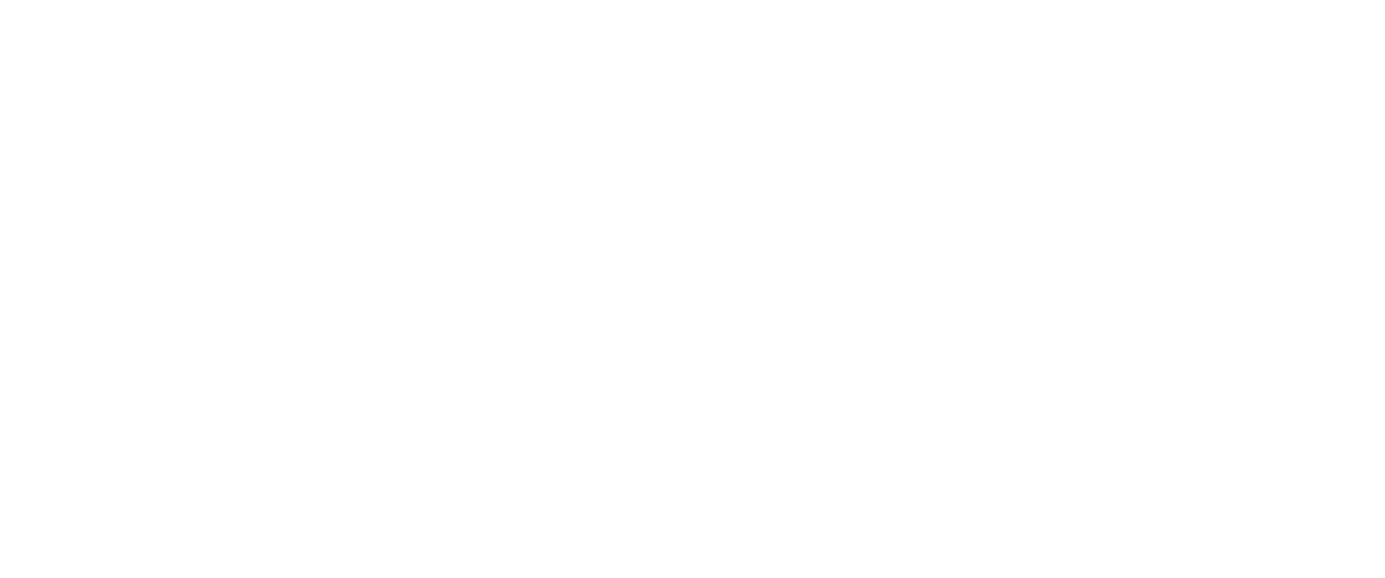 Directorio Policial